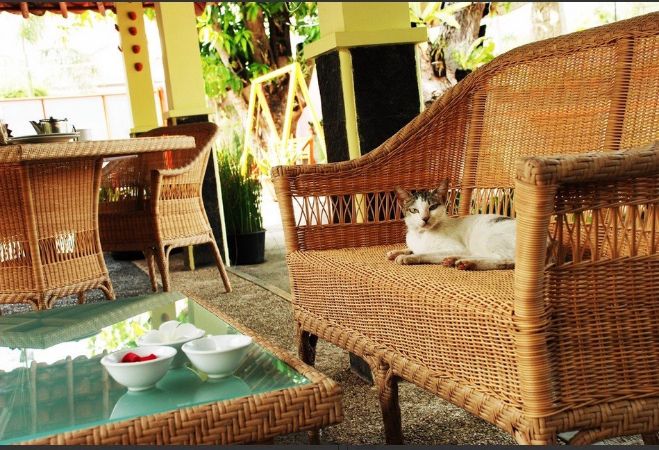 Primavera tavolo da fumo Polyrattan3 jollygiuncoeu