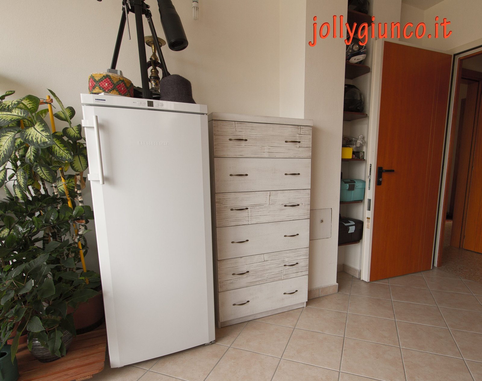 cassetierainlegnobambu15g jollygiuncoeu