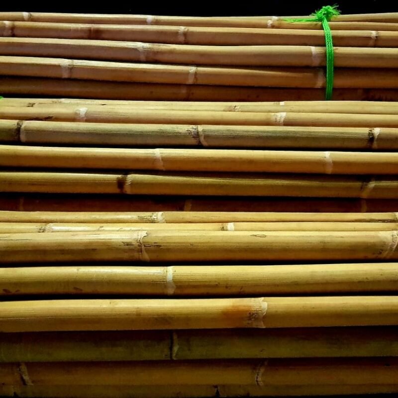 Stack of bamboo poles tied with bright green rope, arranged in neat bundles