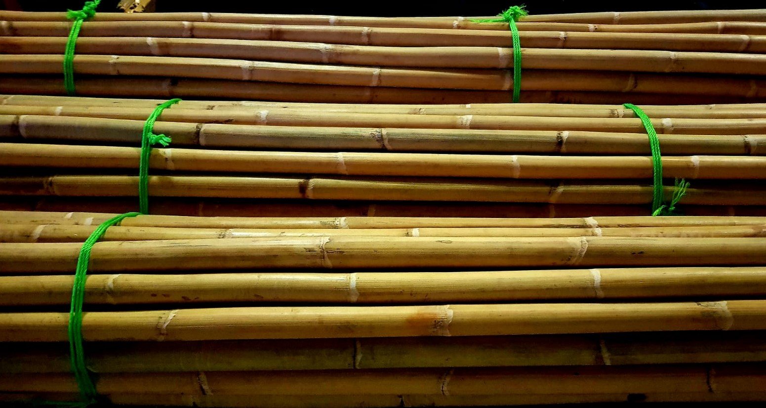 Canne di manao jollygiuncoeu stack of bamboo poles tied with bright green rope arranged in neat bundles