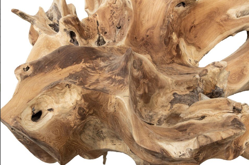 131 Radice Tavolo da fumo2 jollygiuncoeu close up of a gnarled weathered driftwood piece with twisted grain patterns and natural holes on a white background resembling sculpture