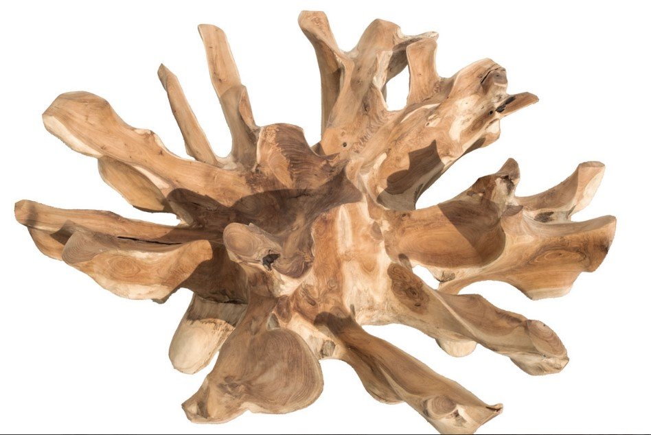 137 Radice Tavolo da fumo2 jollygiuncoeu abstract driftwood sculpture with multiple branched limbs extending outward in natural brown tones
